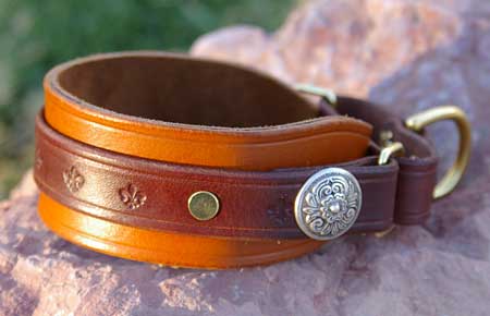 Small Leather Martingale example