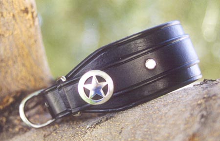 Standard Leather Martingale example