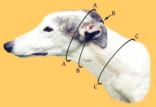 Measurement example