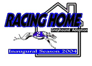 Racing Home Greyhound Adoption