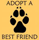 Adopt A Best Friend decal - Click For Enlargement