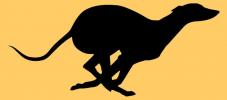Running Greyhound decal - Click For Enlargement