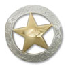 Texas Star, Gold and Silver
